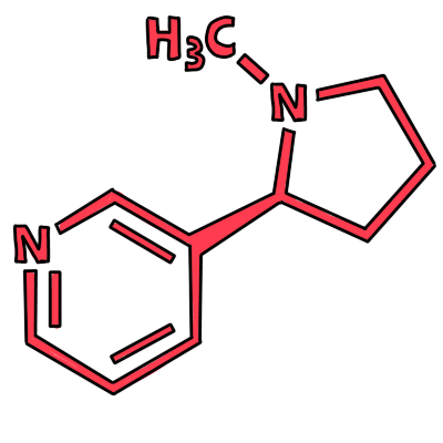 a red nicotine molecule